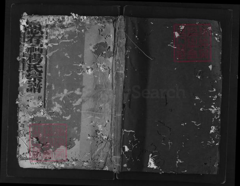 浙江省绍兴新昌县杨氏族谱-思存祠杨氏宗谱.pdf电子版