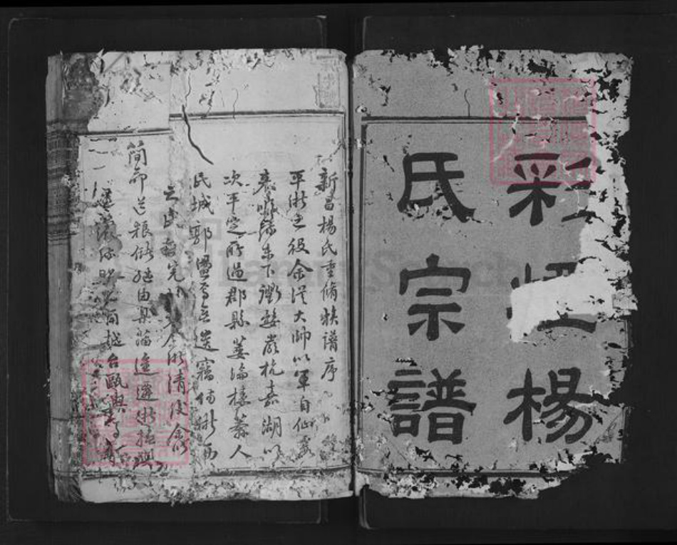 浙江省绍兴新昌县杨氏族谱-思存祠杨氏宗谱.pdf电子版插图1 浙江省绍兴新昌县杨氏族谱-思存祠杨氏宗谱.pdf电子版插图1