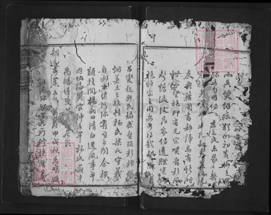 浙江省绍兴新昌县杨氏族谱-思存祠杨氏宗谱.pdf电子版插图2 浙江省绍兴新昌县杨氏族谱-思存祠杨氏宗谱.pdf电子版插图2