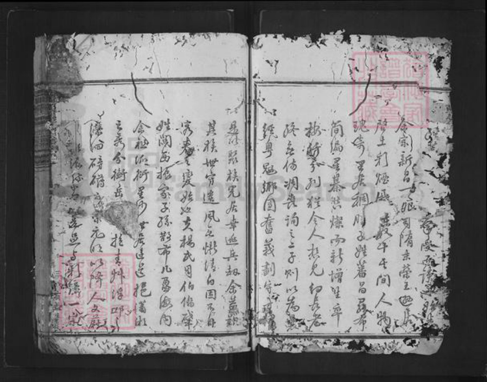 浙江省绍兴新昌县杨氏族谱-思存祠杨氏宗谱.pdf电子版插图3 浙江省绍兴新昌县杨氏族谱-思存祠杨氏宗谱.pdf电子版插图3
