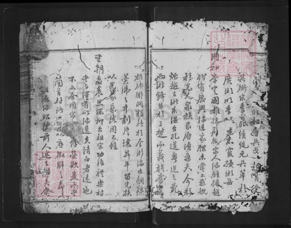 浙江省绍兴新昌县杨氏族谱-思存祠杨氏宗谱.pdf电子版插图4 浙江省绍兴新昌县杨氏族谱-思存祠杨氏宗谱.pdf电子版插图4