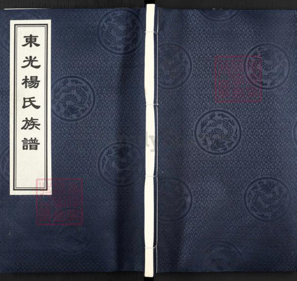 河北省沧州东光县大单镇杨氏族谱-东光杨氏族谱.pdf电子版插图