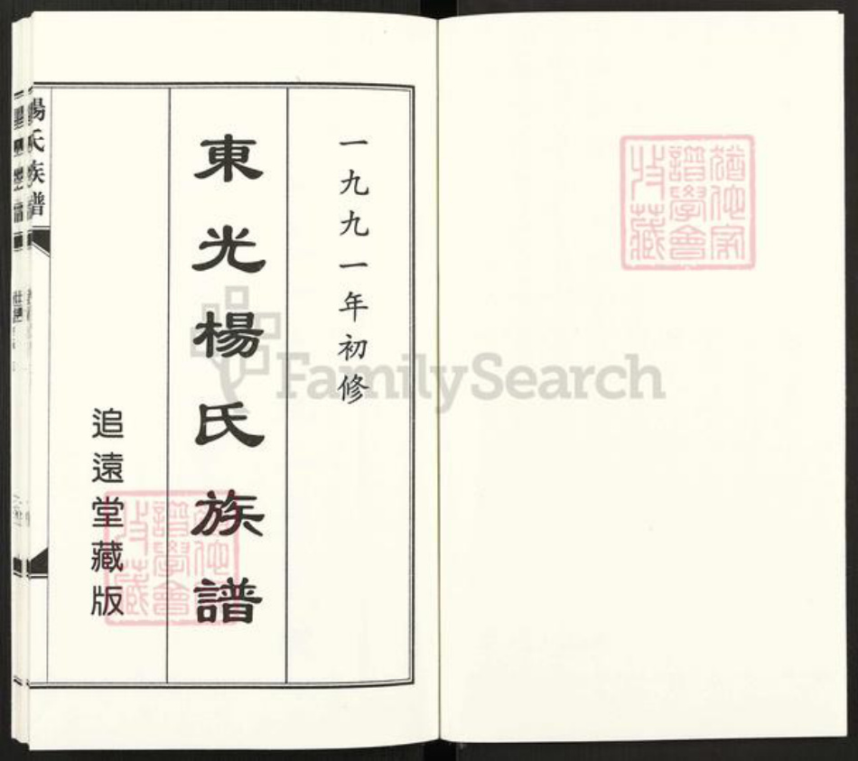 河北省沧州东光县大单镇杨氏族谱-东光杨氏族谱.pdf电子版插图1