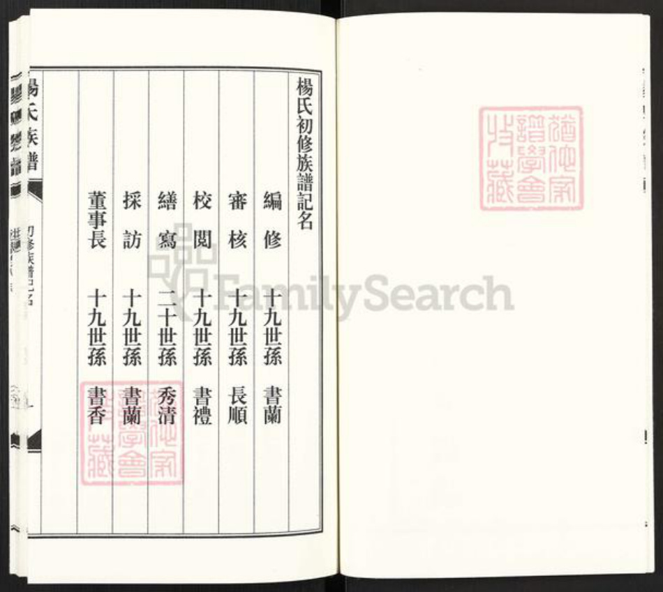 河北省沧州东光县大单镇杨氏族谱-东光杨氏族谱.pdf电子版插图3
