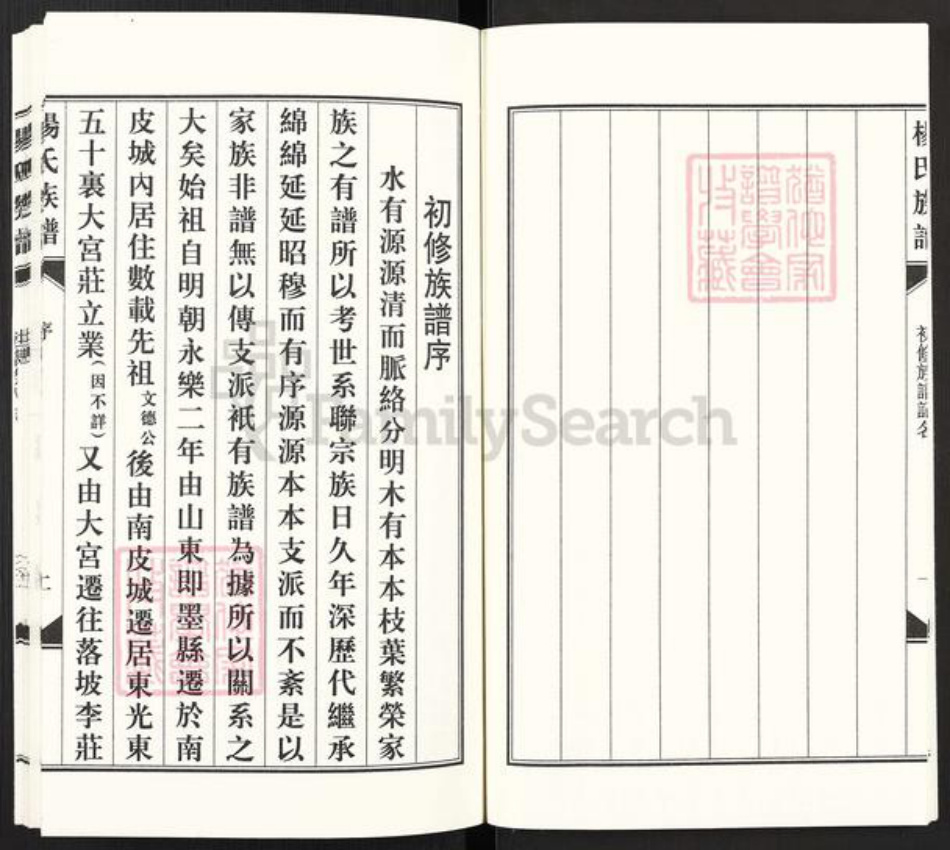 河北省沧州东光县大单镇杨氏族谱-东光杨氏族谱.pdf电子版插图4