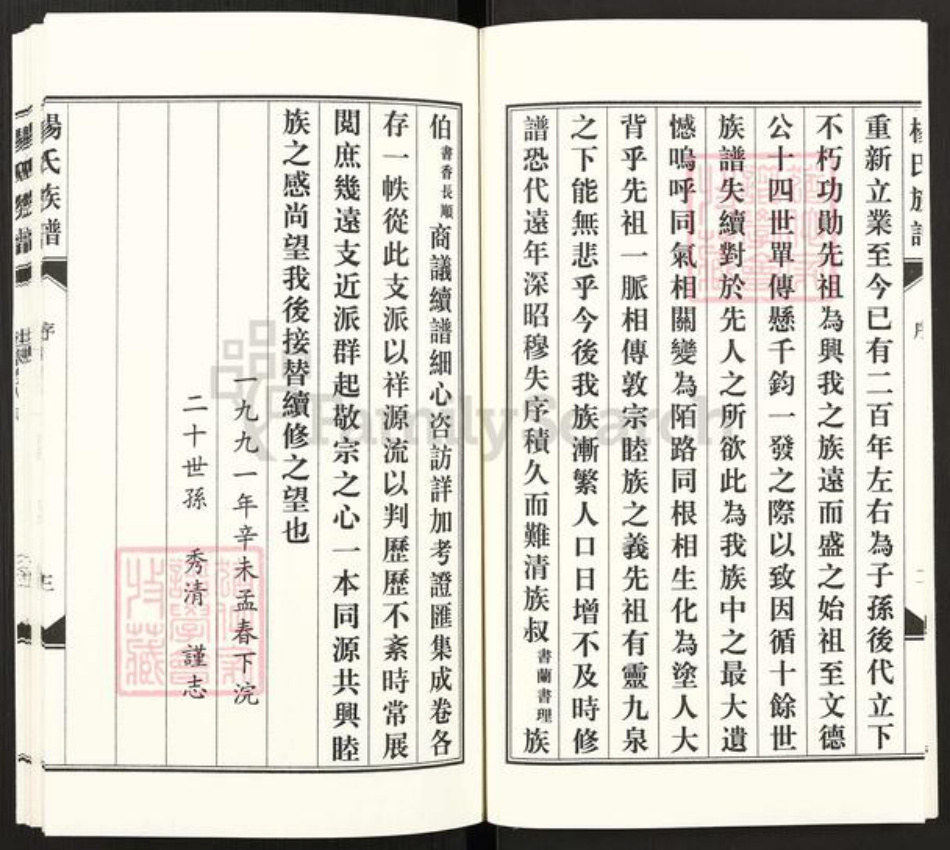 河北省沧州东光县大单镇杨氏族谱-东光杨氏族谱.pdf电子版插图5