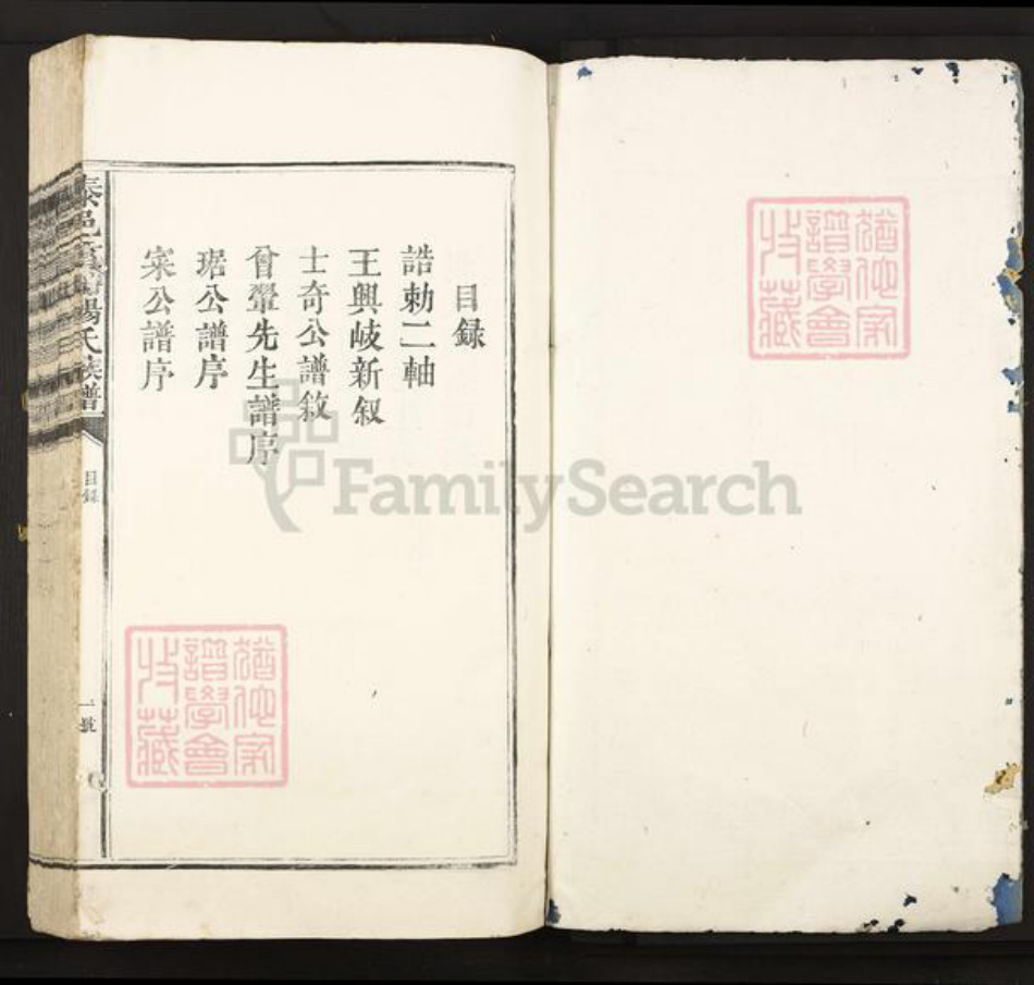江西省吉安市泰和市苑前镇杨氏族谱-泰邑贡塘杨氏族谱.pdf电子版插图1 江西省吉安市泰和市苑前镇杨氏族谱-泰邑贡塘杨氏族谱.pdf电子版插图1