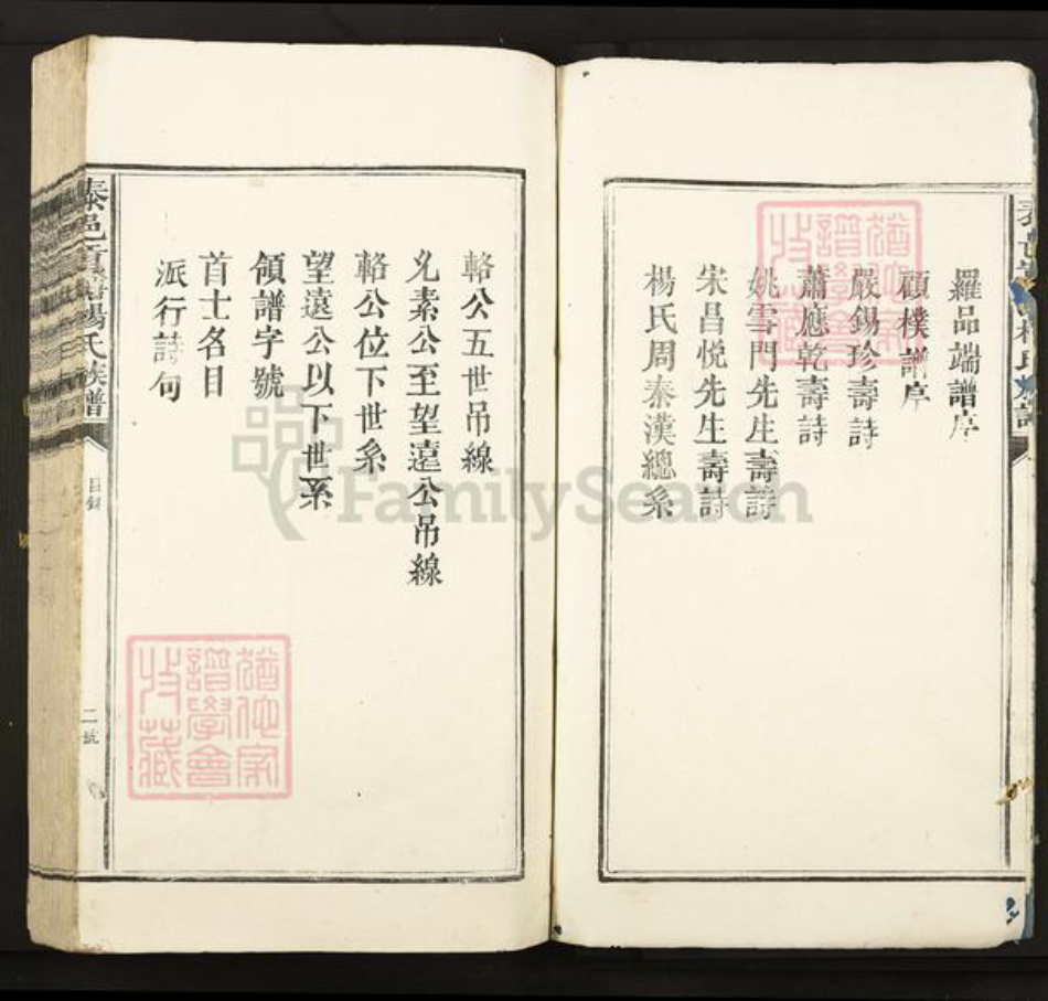江西省吉安市泰和市苑前镇杨氏族谱-泰邑贡塘杨氏族谱.pdf电子版插图2 江西省吉安市泰和市苑前镇杨氏族谱-泰邑贡塘杨氏族谱.pdf电子版插图2