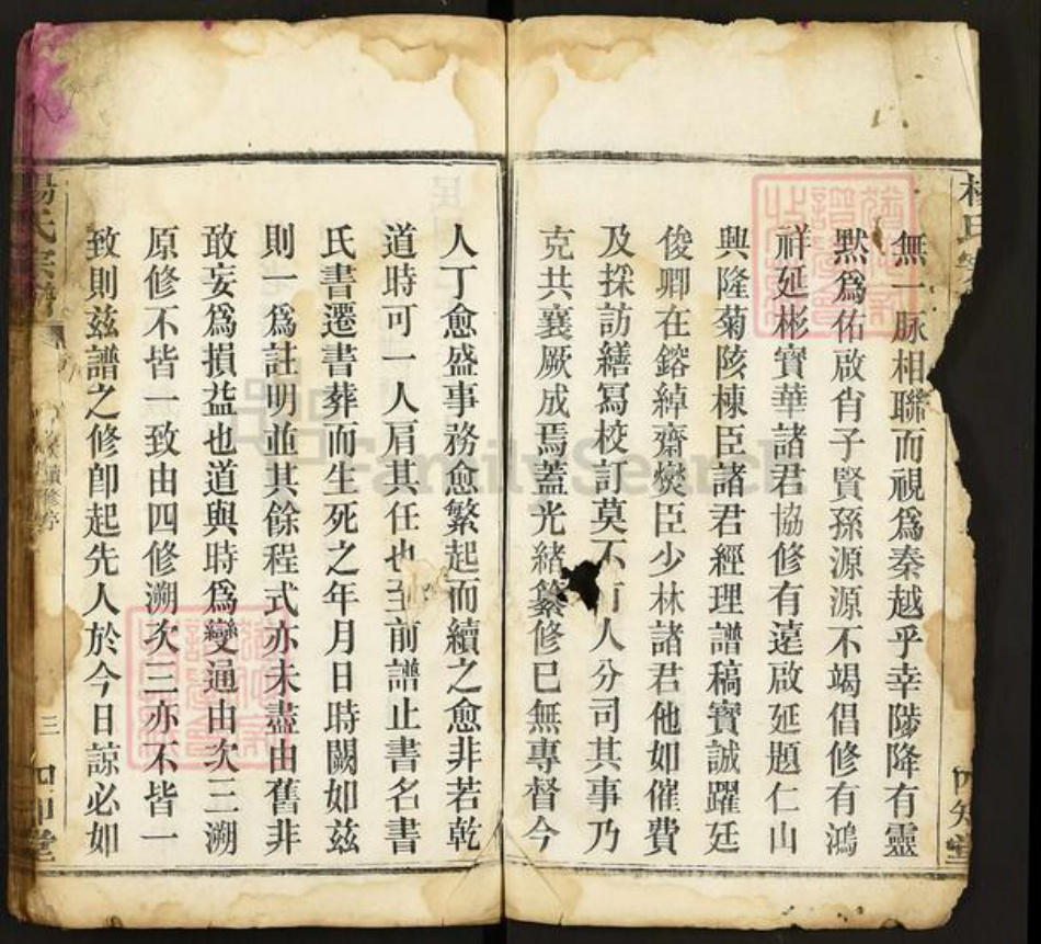 湖北省黄冈市杨氏四知堂族谱-杨氏宗谱.pdf电子版插图3 湖北省黄冈市杨氏四知堂族谱-杨氏宗谱.pdf电子版插图3