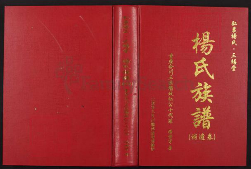 重庆市合川区三汇镇杨氏三鳝堂族谱-杨氏族谱(补遗卷).pdf电子版插图 重庆市合川区三汇镇杨氏三鳝堂族谱-杨氏族谱(补遗卷).pdf电子版插图