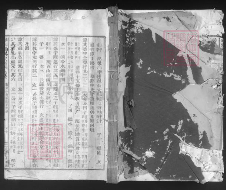 浙江省绍兴新昌县双彩乡杨氏族谱-彩烟杨氏宗谱.pdf电子版插图 浙江省绍兴新昌县双彩乡杨氏族谱-彩烟杨氏宗谱.pdf电子版插图
