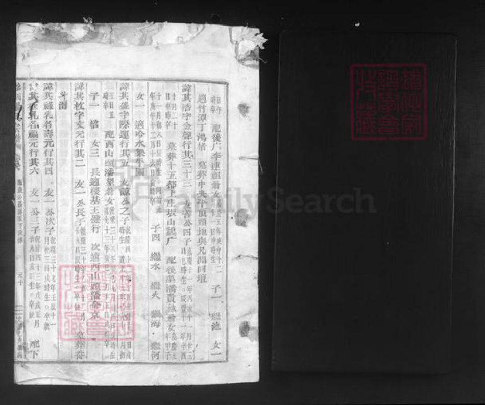 浙江省绍兴新昌县双彩乡杨氏族谱-彩烟杨氏宗谱.pdf电子版插图1 浙江省绍兴新昌县双彩乡杨氏族谱-彩烟杨氏宗谱.pdf电子版插图1