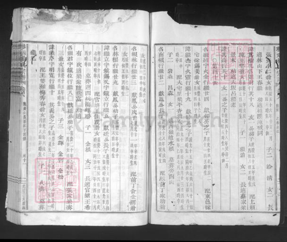 浙江省绍兴新昌县双彩乡杨氏族谱-彩烟杨氏宗谱.pdf电子版插图2 浙江省绍兴新昌县双彩乡杨氏族谱-彩烟杨氏宗谱.pdf电子版插图2