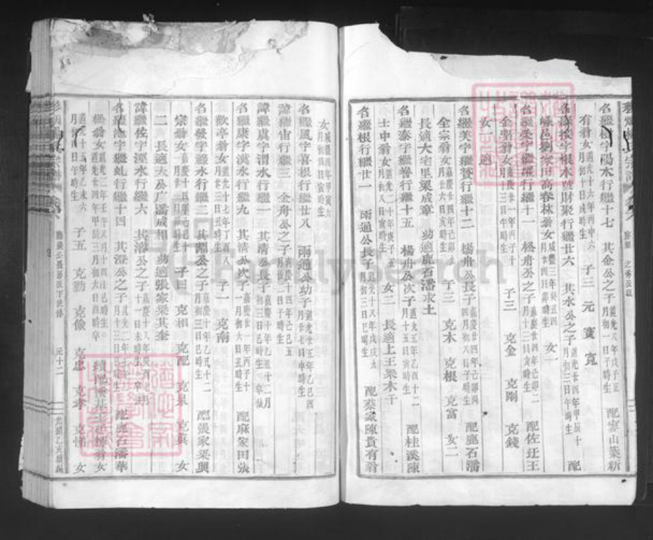 浙江省绍兴新昌县双彩乡杨氏族谱-彩烟杨氏宗谱.pdf电子版插图3 浙江省绍兴新昌县双彩乡杨氏族谱-彩烟杨氏宗谱.pdf电子版插图3