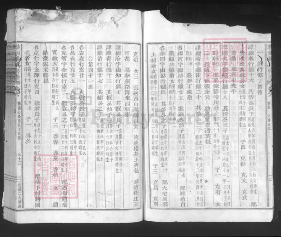 浙江省绍兴新昌县双彩乡杨氏族谱-彩烟杨氏宗谱.pdf电子版插图4 浙江省绍兴新昌县双彩乡杨氏族谱-彩烟杨氏宗谱.pdf电子版插图4