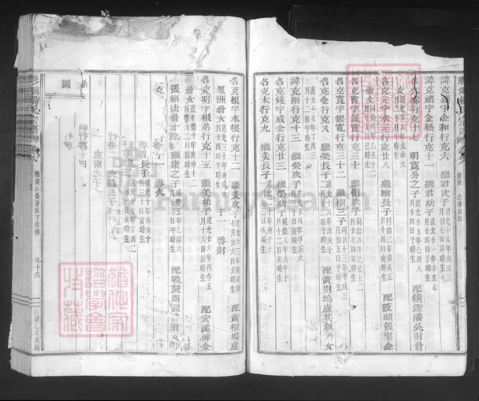 浙江省绍兴新昌县双彩乡杨氏族谱-彩烟杨氏宗谱.pdf电子版插图5 浙江省绍兴新昌县双彩乡杨氏族谱-彩烟杨氏宗谱.pdf电子版插图5