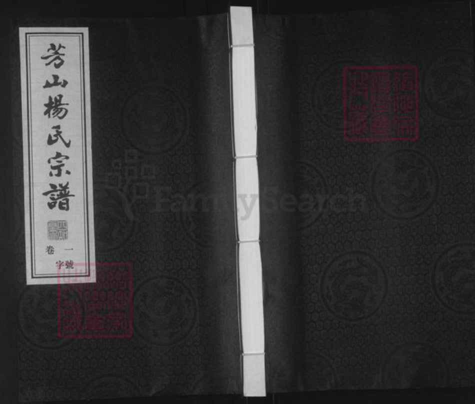 江苏省常州市武进县杨氏四知堂族谱-芳山杨氏宗谱.pdf电子版