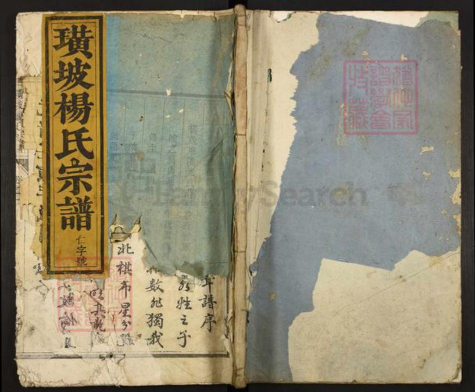 江西省吉安市新干县潭丘乡杨氏族谱-璜坡杨氏宗谱.pdf电子版