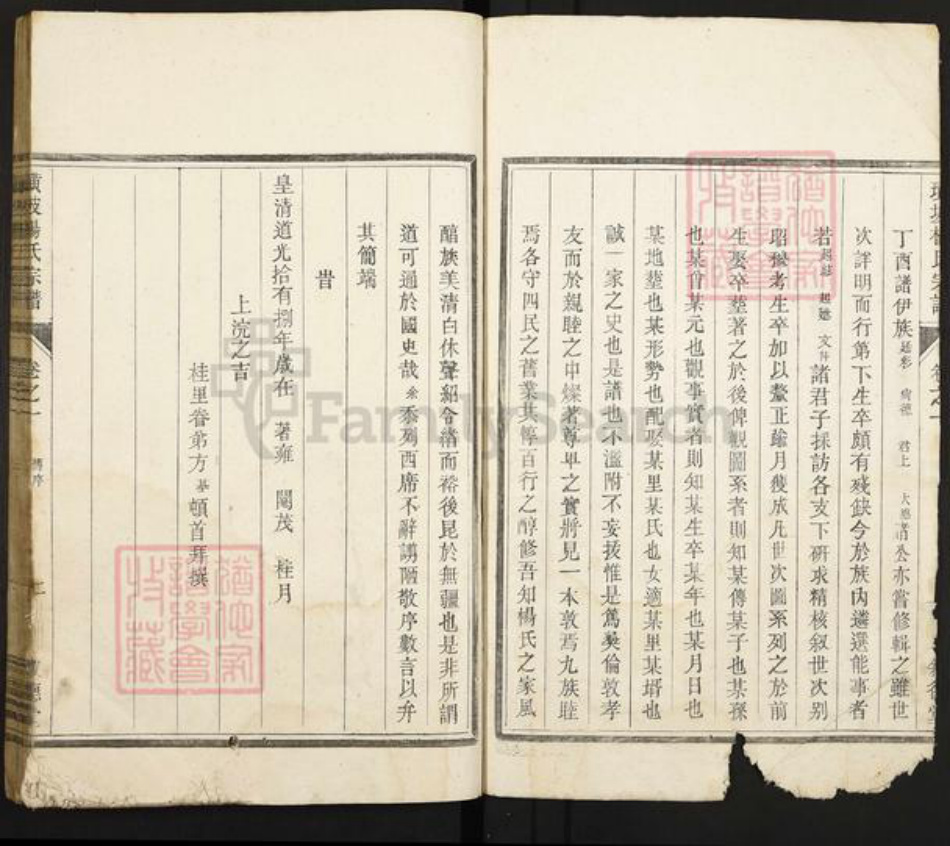 江西省吉安市新干县潭丘乡杨氏族谱-璜坡杨氏宗谱.pdf电子版插图5 江西省吉安市新干县潭丘乡杨氏族谱-璜坡杨氏宗谱.pdf电子版插图5