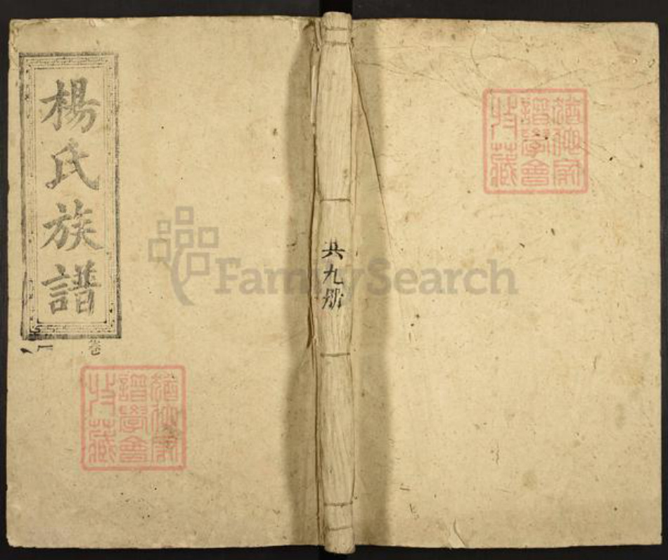 湖南省郴州市宜章县杨氏族谱-宜邑杨氏族谱.pdf电子版