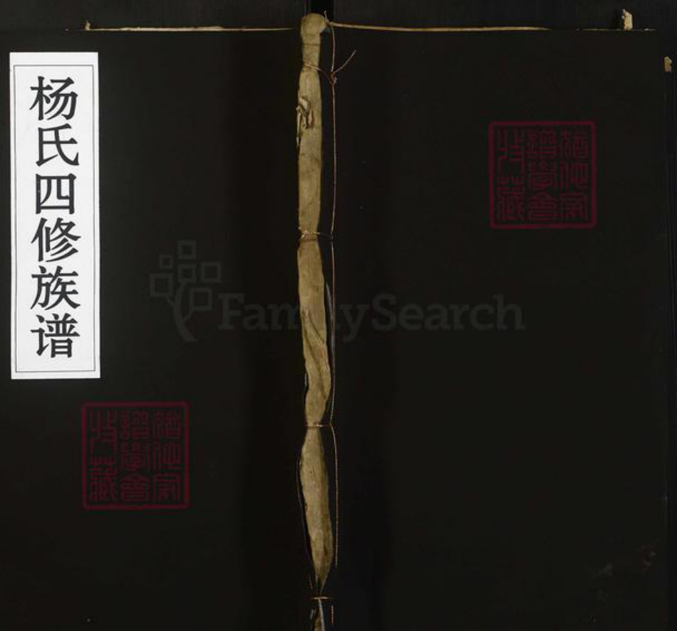四川省南充市南部县杨氏四知堂族谱-杨氏四修族谱.pdf电子版插图 四川省南充市南部县杨氏四知堂族谱-杨氏四修族谱.pdf电子版插图