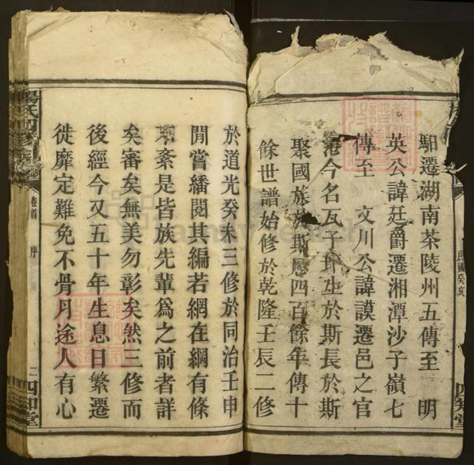 四川省南充市南部县杨氏四知堂族谱-杨氏四修族谱.pdf电子版插图2 四川省南充市南部县杨氏四知堂族谱-杨氏四修族谱.pdf电子版插图2