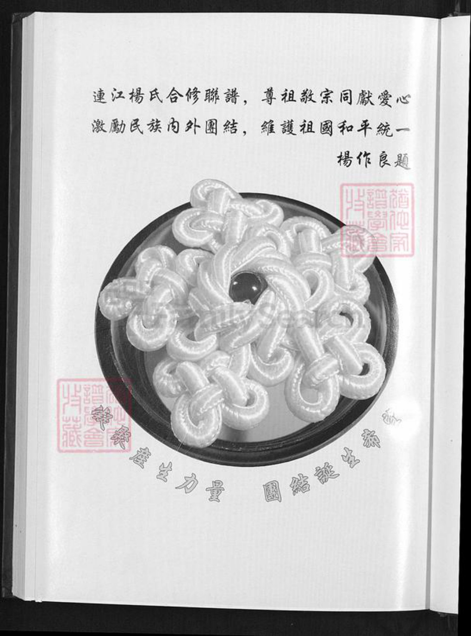 福建省福州市连江县琯头镇杨氏四知堂族谱-连江县阳岐杨氏族谱.pdf电子版插图3 福建省福州市连江县琯头镇杨氏四知堂族谱-连江县阳岐杨氏族谱.pdf电子版插图3