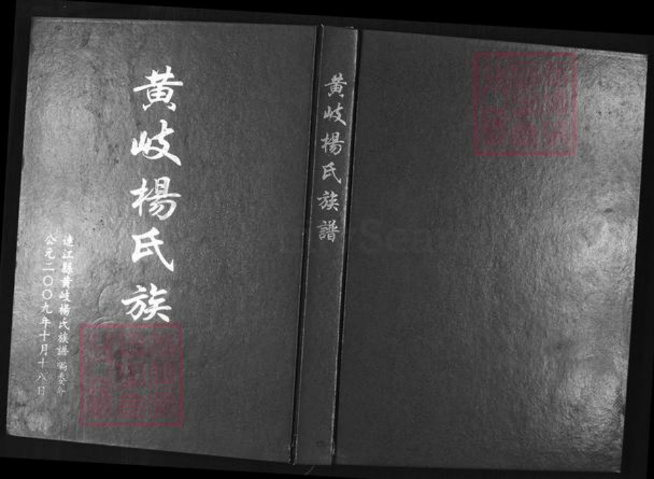 福建省杨氏族谱-黄岐杨氏族谱.pdf电子版插图 福建省杨氏族谱-黄岐杨氏族谱.pdf电子版插图