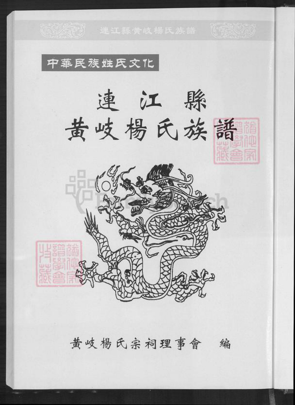福建省杨氏族谱-黄岐杨氏族谱.pdf电子版插图1 福建省杨氏族谱-黄岐杨氏族谱.pdf电子版插图1