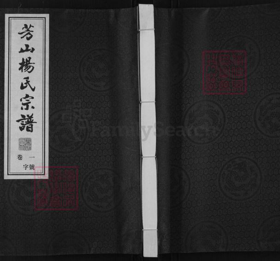 江苏省常州市武进县杨氏四知堂族谱-芳山杨氏宗谱.pdf电子版插图