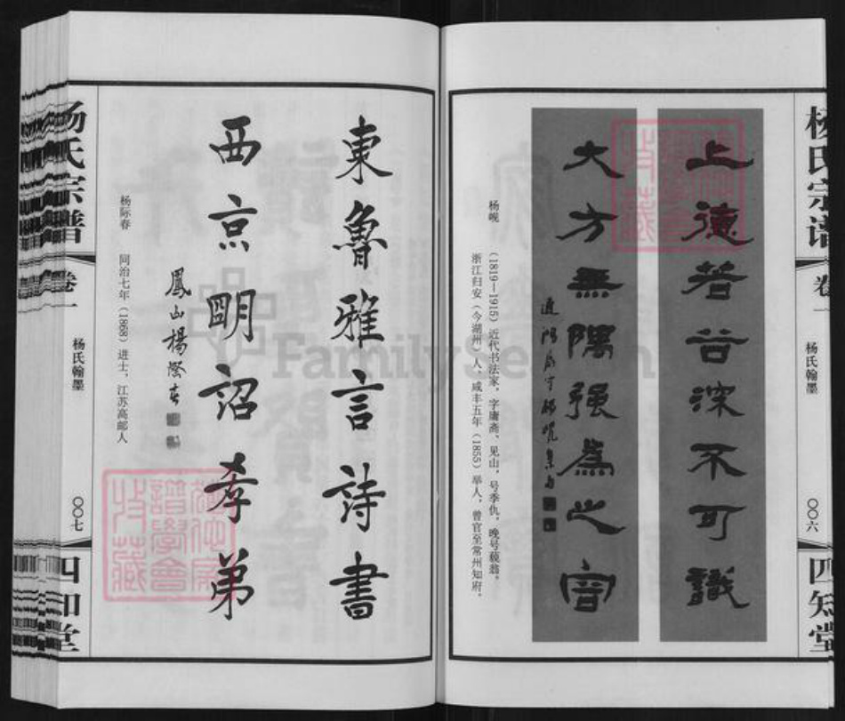 江苏省常州市武进县杨氏四知堂族谱-芳山杨氏宗谱.pdf电子版插图4