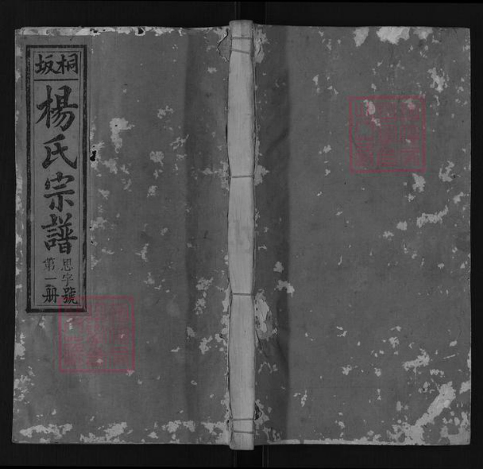 江西省上饶市广丰区同凡杨氏四知堂族谱-桐坂杨氏宗谱.pdf电子版插图 江西省上饶市广丰区同凡杨氏四知堂族谱-桐坂杨氏宗谱.pdf电子版插图