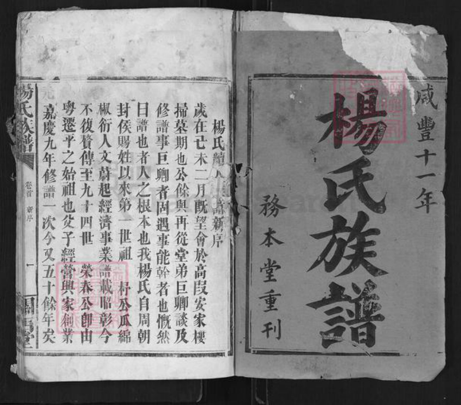 湖南省岳阳市平江县杨氏关西堂族谱-杨氏族谱.pdf电子版插图1 湖南省岳阳市平江县杨氏关西堂族谱-杨氏族谱.pdf电子版插图1