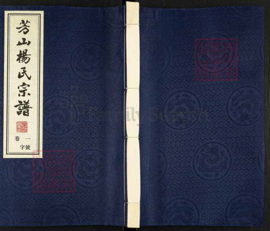 江苏省常州市武进县杨氏四知堂族谱-芳山杨氏宗谱.pdf电子版