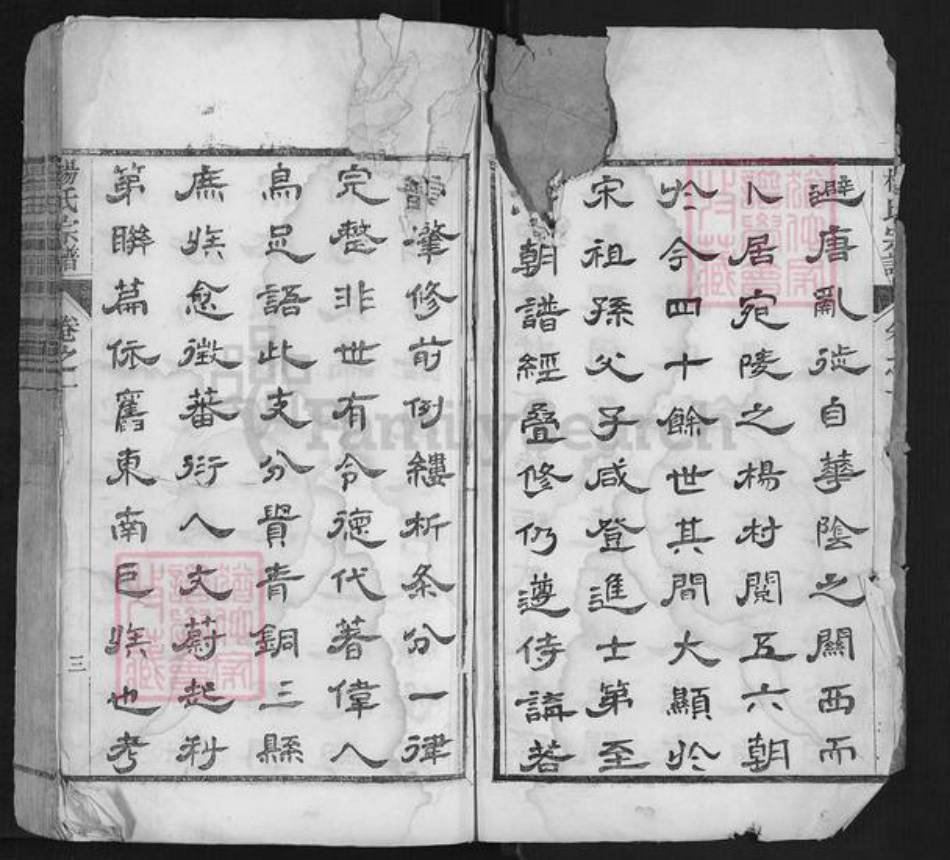 安徽省宣城市宣州区杨氏族谱-杨氏宗谱.pdf电子版插图4 安徽省宣城市宣州区杨氏族谱-杨氏宗谱.pdf电子版插图4