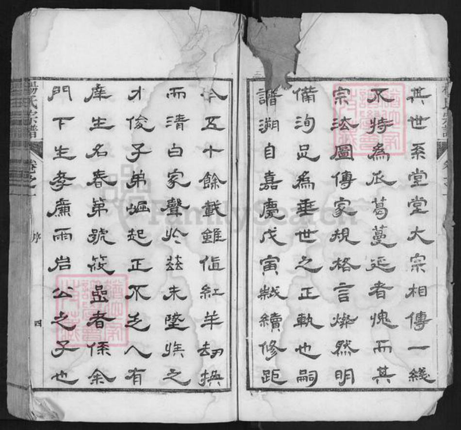 安徽省宣城市宣州区杨氏族谱-杨氏宗谱.pdf电子版插图5 安徽省宣城市宣州区杨氏族谱-杨氏宗谱.pdf电子版插图5