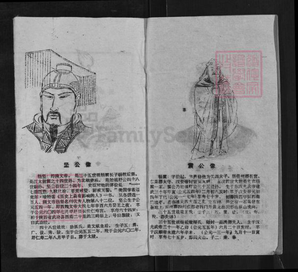 湖南省邵阳市邵东杨氏三鳣堂族谱-邵东新桥杨氏五修族谱.pdf电子版插图2 湖南省邵阳市邵东杨氏三鳣堂族谱-邵东新桥杨氏五修族谱.pdf电子版插图2