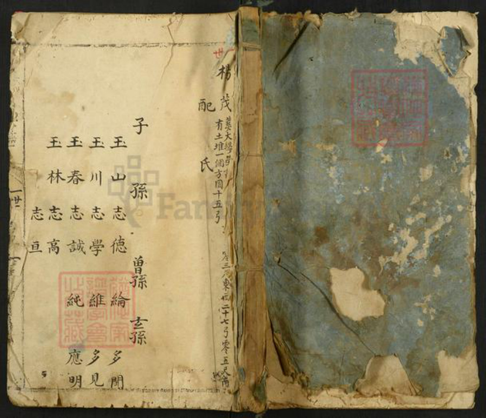 河南省安阳市林州市东姚镇杨氏族谱-杨氏家谱.pdf电子版