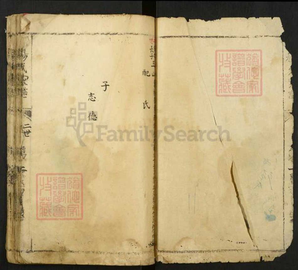 河南省安阳市林州市东姚镇杨氏族谱-杨氏家谱.pdf电子版插图2