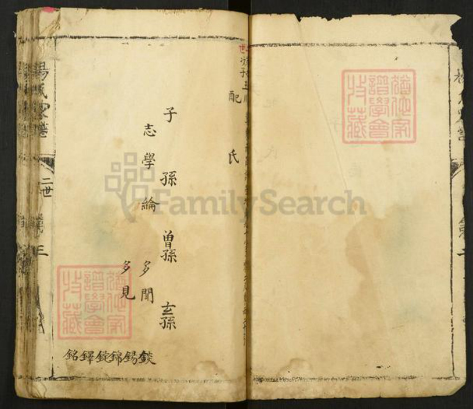 河南省安阳市林州市东姚镇杨氏族谱-杨氏家谱.pdf电子版插图3