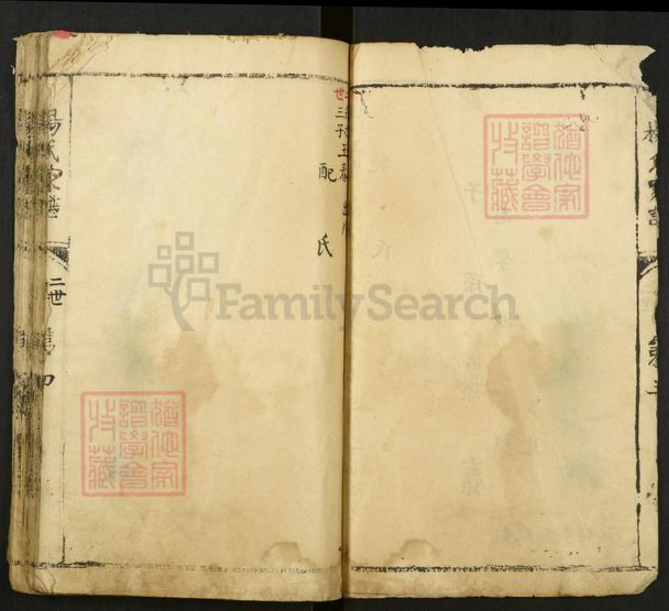 河南省安阳市林州市东姚镇杨氏族谱-杨氏家谱.pdf电子版插图4