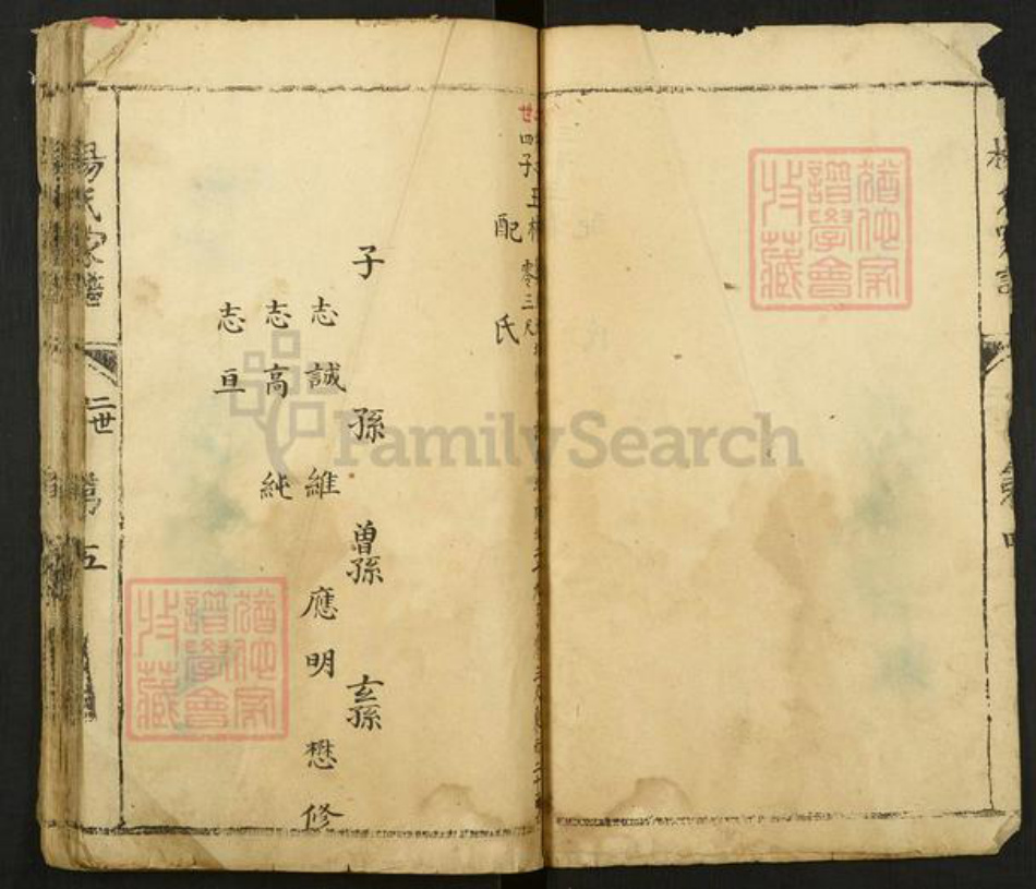 河南省安阳市林州市东姚镇杨氏族谱-杨氏家谱.pdf电子版插图5