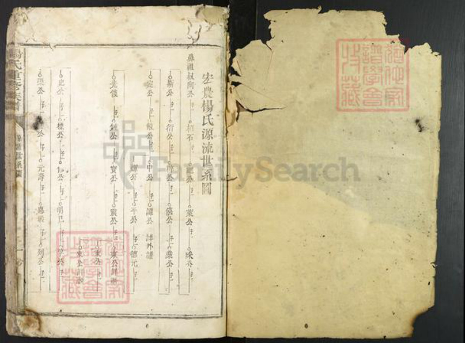 江西省赣州市宁都县杨氏族谱-杨氏重修族谱.pdf电子版插图1