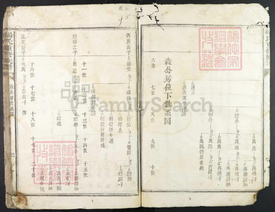 江西省赣州市宁都县杨氏族谱-杨氏重修族谱.pdf电子版插图3