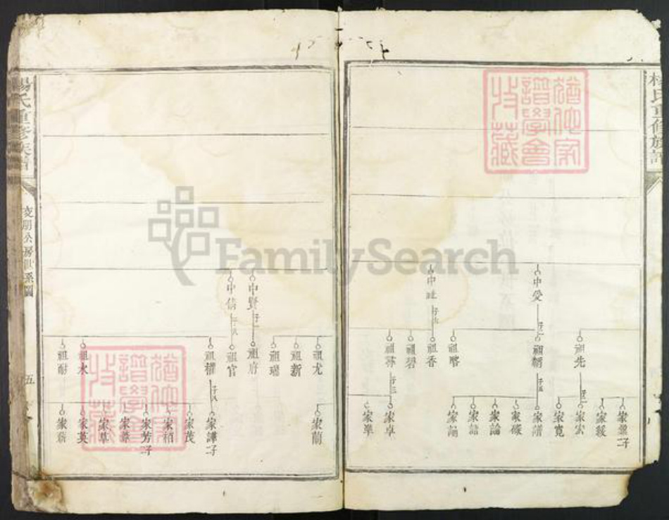 江西省赣州市宁都县杨氏族谱-杨氏重修族谱.pdf电子版插图5