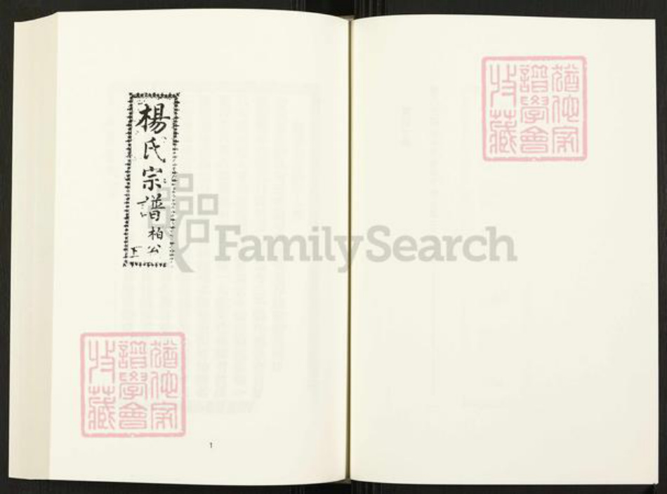 四川省四川省杨氏族谱-中国珍稀家谱丛刊.四川家谱.第40册.杨氏宗谱.pdf电子版插图3 四川省四川省杨氏族谱-中国珍稀家谱丛刊.四川家谱.第40册.杨氏宗谱.pdf电子版插图3