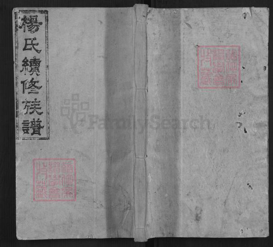 湖南省娄底市新化县杨氏族谱-杨氏续修族谱[不分卷].pdf电子版