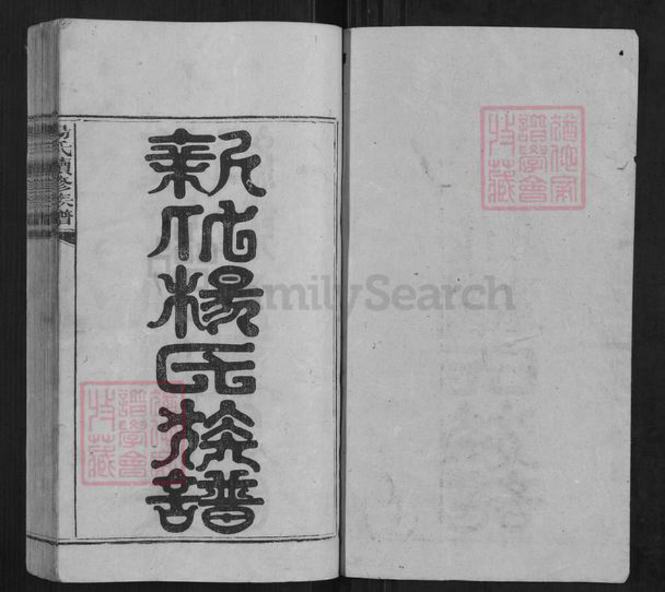 湖南省娄底市新化县杨氏族谱-杨氏续修族谱[不分卷].pdf电子版插图1