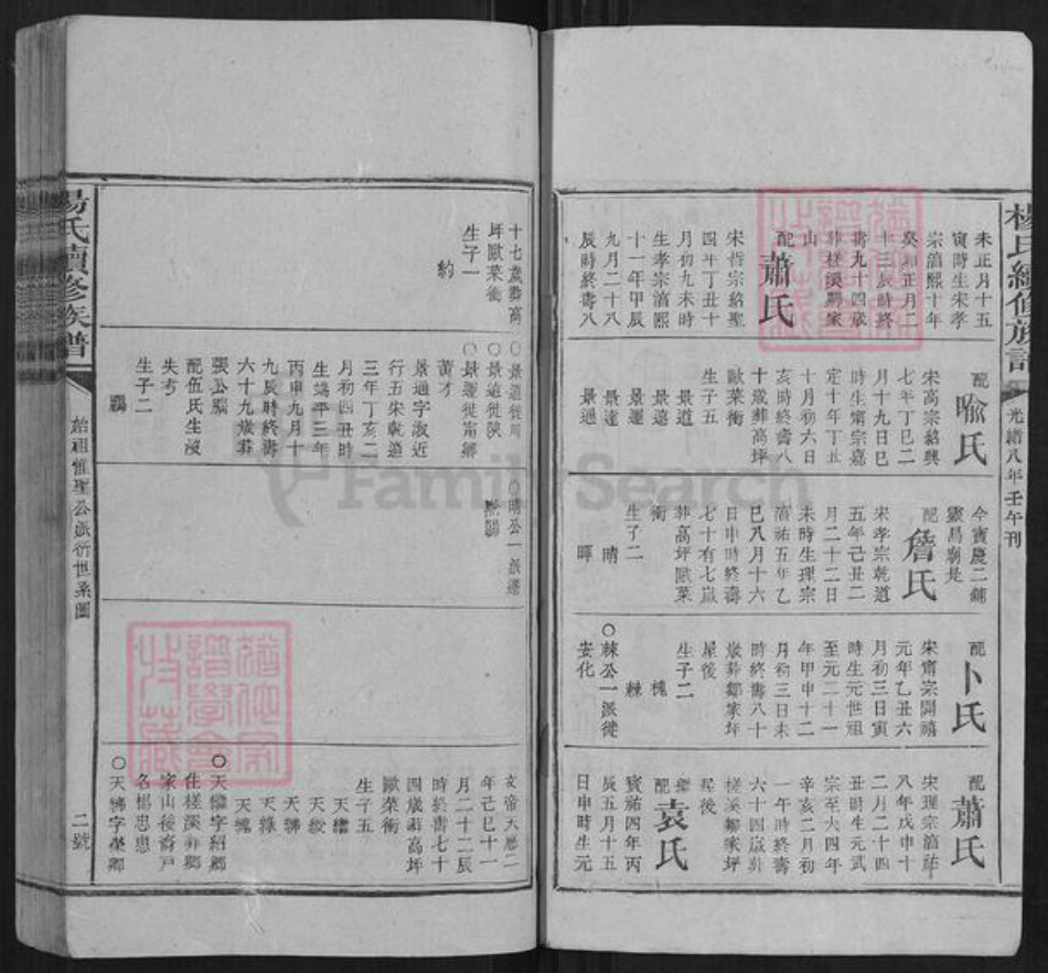 湖南省娄底市新化县杨氏族谱-杨氏续修族谱[不分卷].pdf电子版插图3