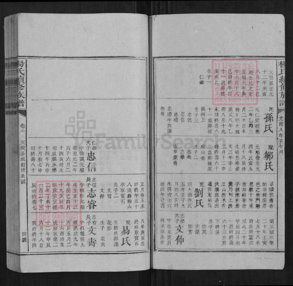 湖南省娄底市新化县杨氏族谱-杨氏续修族谱[不分卷].pdf电子版插图5